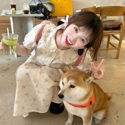我的黑帮恋人